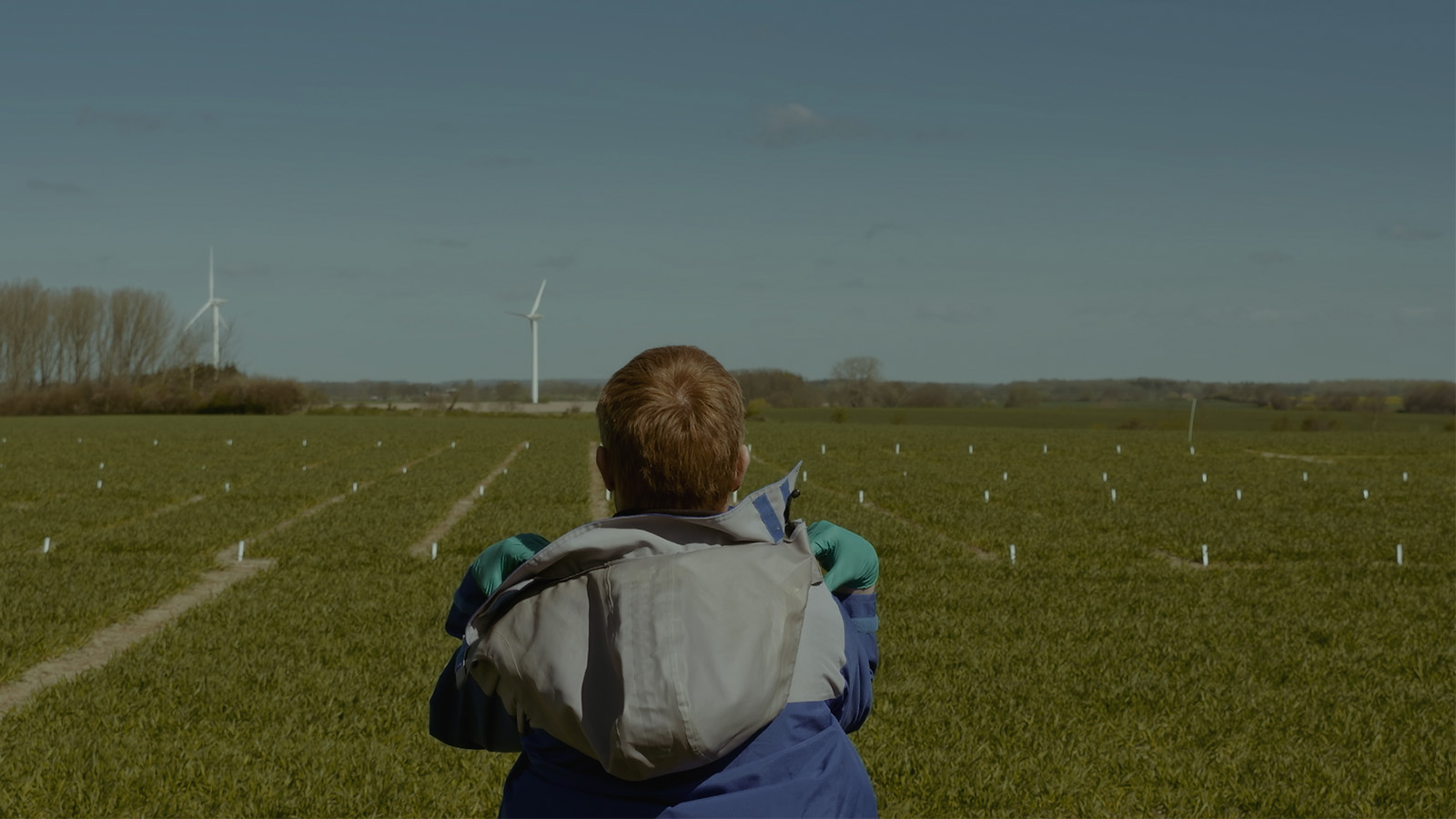 Syngenta | Our Challenge